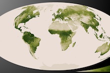 Satellite image of vegetation on earth